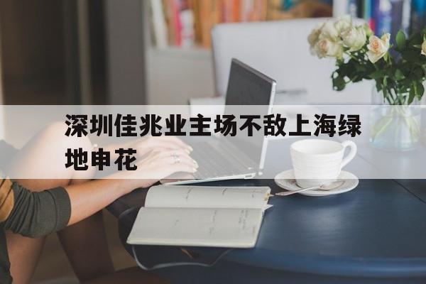 深圳佳兆业主场不敌上海绿地申花